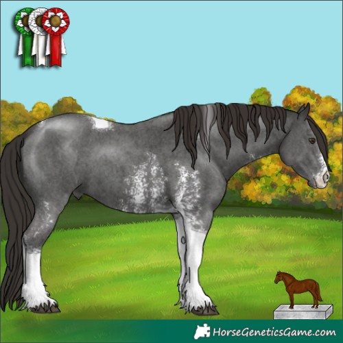 Horse Color:Liver Chestnut Sabino Tobiano 