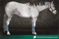 Horse Color:Platinum Liver Red Dun Tobiano Brindle 