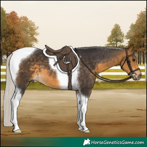 Horse Color:Silver Buckskin Tobiano 