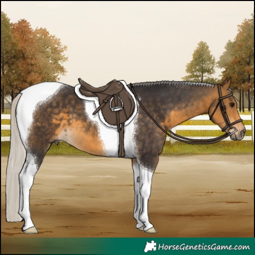 Horse Color:Silver Buckskin Tobiano