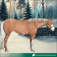 Horse Color:Silver Sable Champagne Sabino