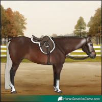 Horse Color:Gray Silver Bay Tobiano