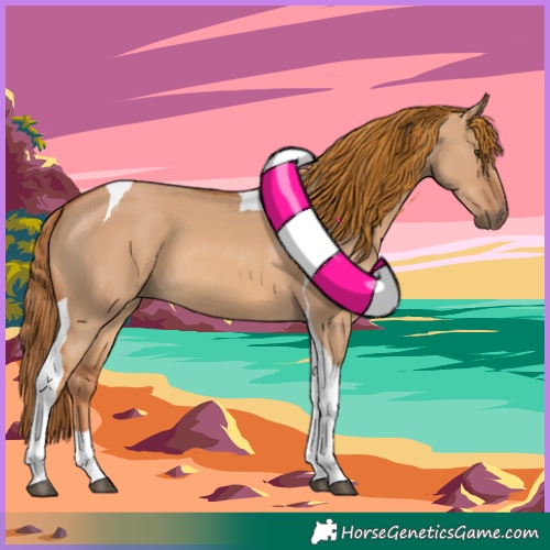 Horse Color:Red Dun Tobiano 