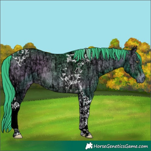 Horse Color:Watercolor Brown Chinchilla Ice Onyx Tobiano 