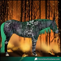 Horse Color:Watercolor Brown Chinchilla Ice Onyx Tobiano