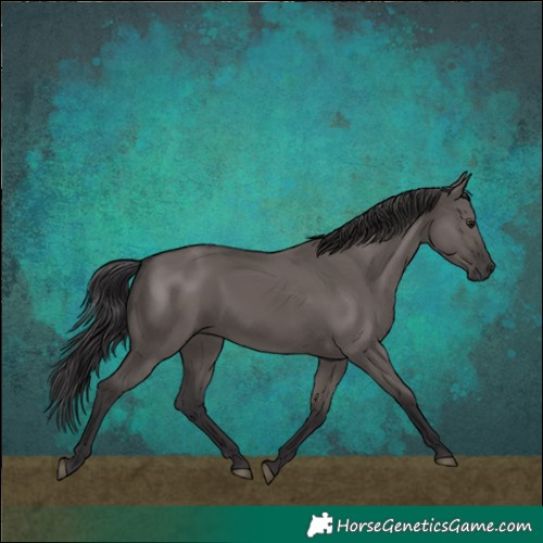 Horse Color:Smoky Grullo 