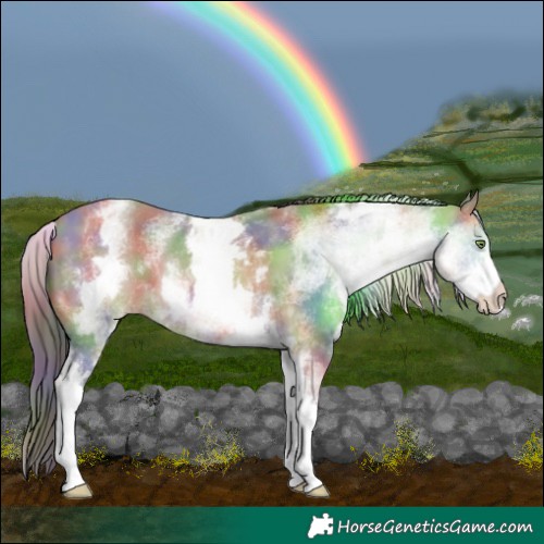 Horse Color:Nacre White Spotted Sable Champagne Rabicano