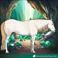 Horse Color:White Spotted Smoky Grullo Roan Pearl Splash Rabicano 