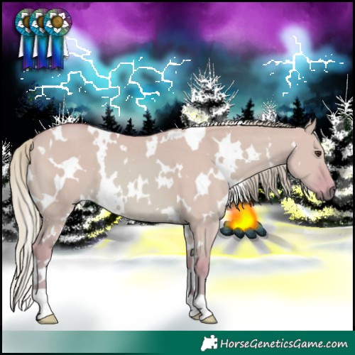 Horse Color:Watercolor White Spotted Red Dun