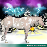 Horse Color:Watercolor White Spotted Red Dun 
