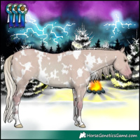 Horse Color:Watercolor White Spotted Red Dun