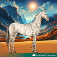 Horse Color:Buckskin Dun Appaloosa  and Buckskin Pearl Dun Appaloosa 