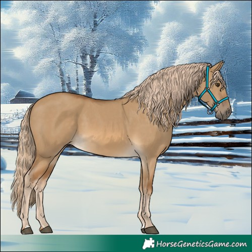 Horse Color:Chocolate Palomino Dun 