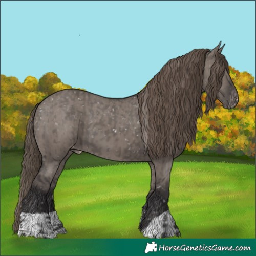 Horse Color:Unknown 