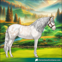 Horse Color:Gold Cream Champagne Pearl Blanket