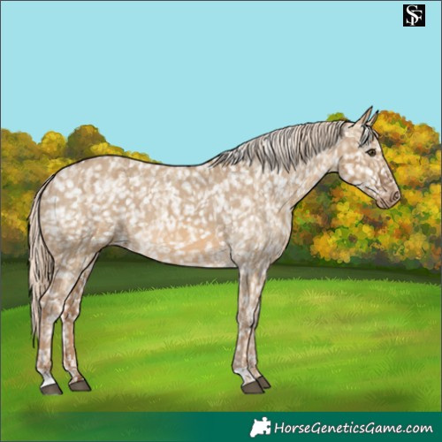 Horse Color:Chocolate Palomino Dun Snowflake Varnish  and Chocolate Palomino Dun Snowflake Varnish 