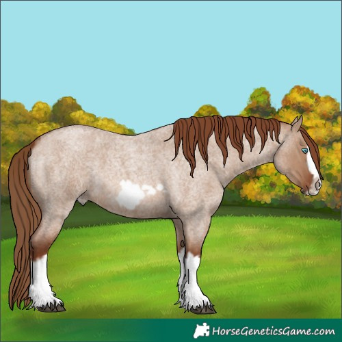 Horse Color:Red Dun Roan Splash Frame Rabicano 