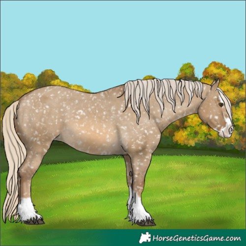 Horse Color:Chocolate Palomino Dun Snowflake Varnish  and Chocolate Palomino Dun Splash Snowflake Varnish 