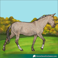Horse Color:Chocolate Palomino Dun Snowflake Varnish  and Liver Red Dun Snowflake Varnish 