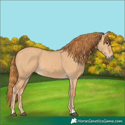 Horse Color:Red Dun 