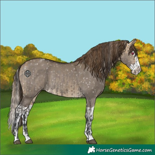 Horse Color:Grullo Snowflake Varnish  and Buckskin Dun Splash Snowflake Varnish 