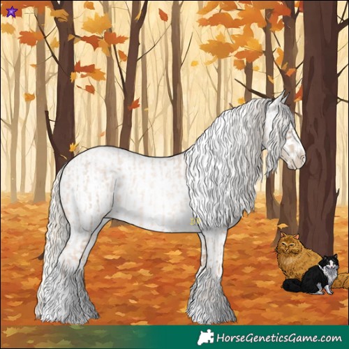 Horse Color:Chocolate Palomino Roan Pearl Tobiano Frame  and White Spotted Chocolate Palomino Roan Pearl Frame 