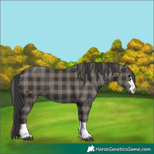 Horse Color:Plaid  Black 