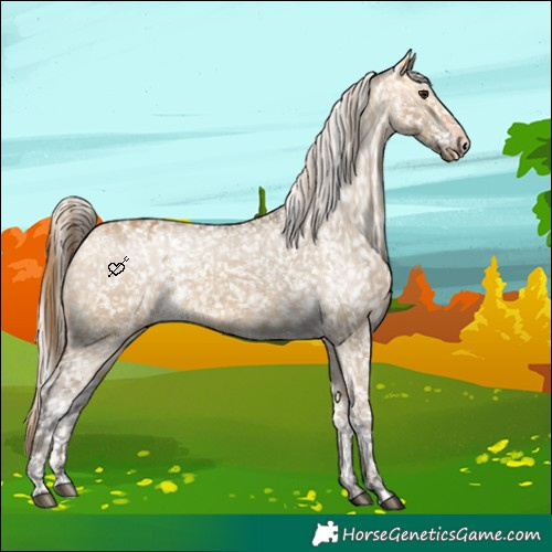 Horse Color:Buckskin Dun Appaloosa  and Silver Buckskin Dun Appaloosa 