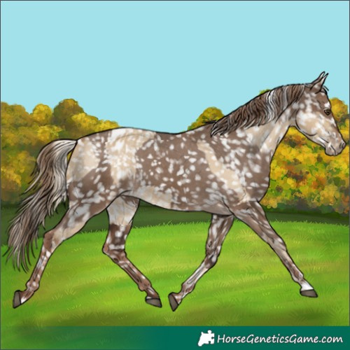 Horse Color:Chocolate Palomino Dun Snowflake Varnish  and Liver Red Dun Snowflake Varnish 