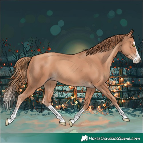 Horse Color:Gold Champagne Splash