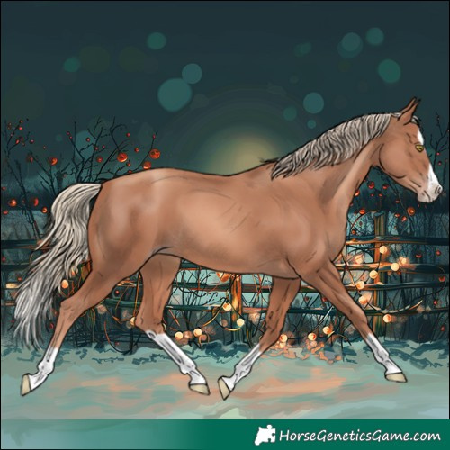 Horse Color:Gold Champagne Splash 
