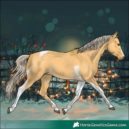 Horse Color:Palomino Dun Tobiano 