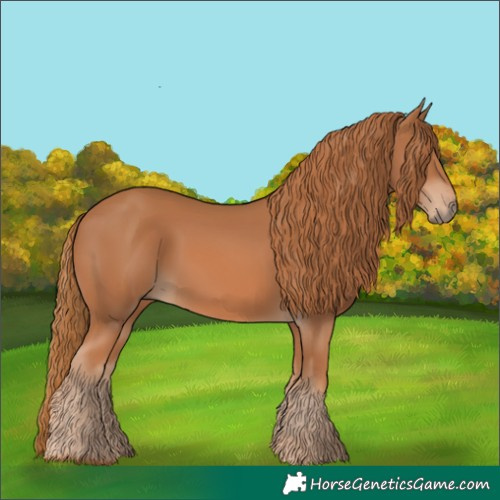 Horse Color:Chestnut 