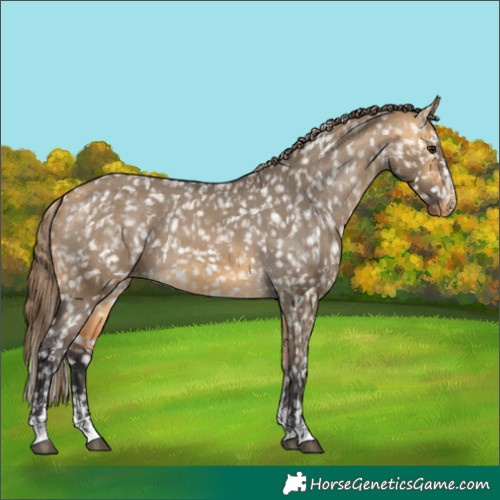 Horse Color:Buckskin Dun Snowflake Varnish  and Buckskin Dun Snowflake Varnish 
