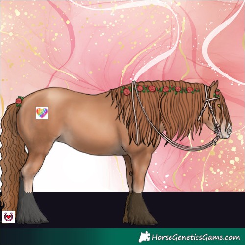 Horse Color:Gold Champagne Splash
