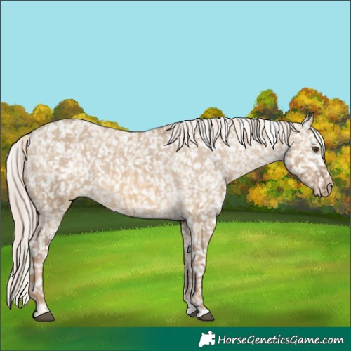 Horse Color:Chocolate Palomino Dun Snowflake Varnish  and Chocolate Palomino Dun Snowflake Varnish 