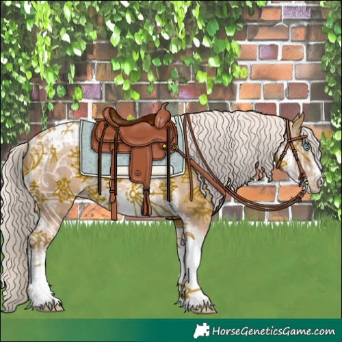 Horse Color:Chocolate Palomino Pearl Tobiano Frame  and Chocolate Palomino Pearl Tobiano Frame 