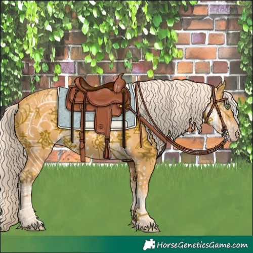 Horse Color:Gold Cream Champagne 