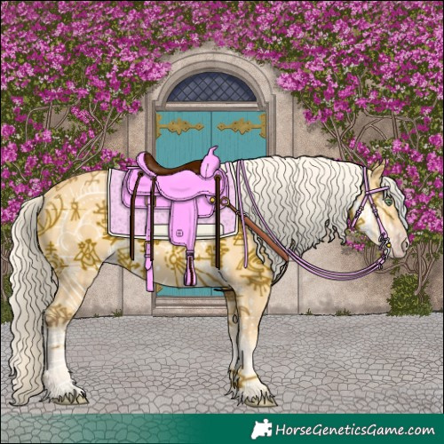 Horse Color:Gold Cream Champagne 
