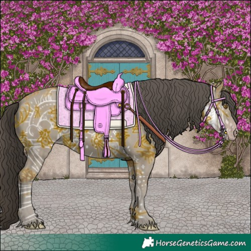 Horse Color:Classic Cream Champagne