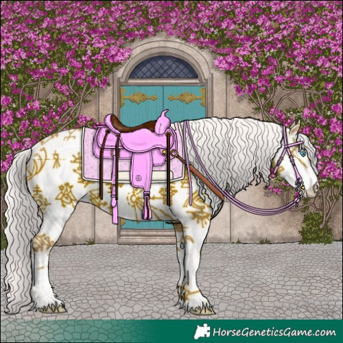 Horse Color:Smoky Creme 