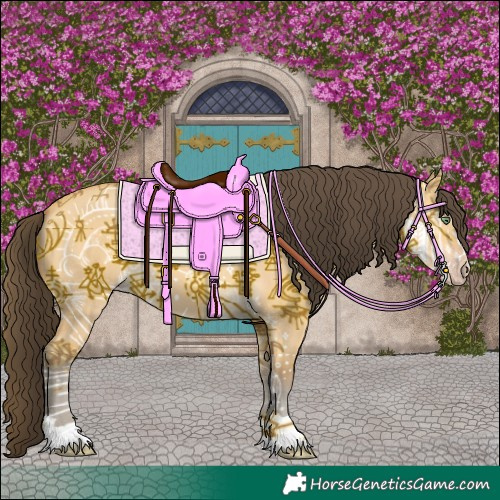 Horse Color:Amber Cream Champagne Dun