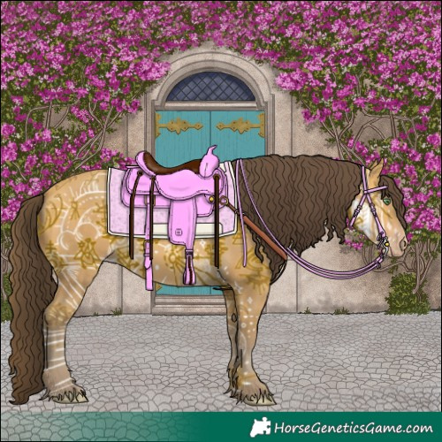 Horse Color:Sable Cream Champagne 