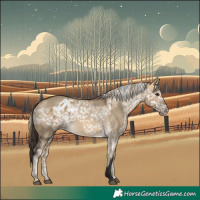 Horse Color:Buckskin Dun and Chocolate Palomino Dun Snowflake Varnish