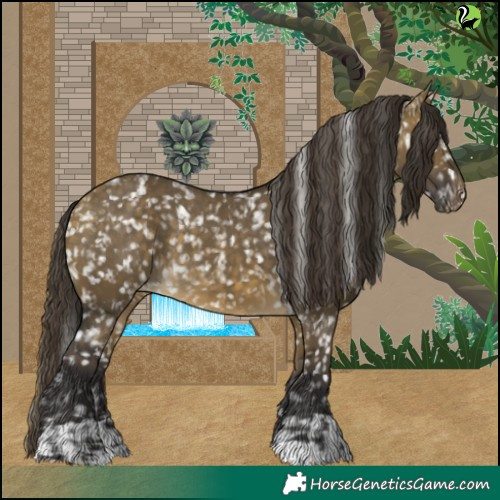 Horse Color:Buckskin Dun Snowflake Varnish and Buckskin Dun Snowflake Varnish