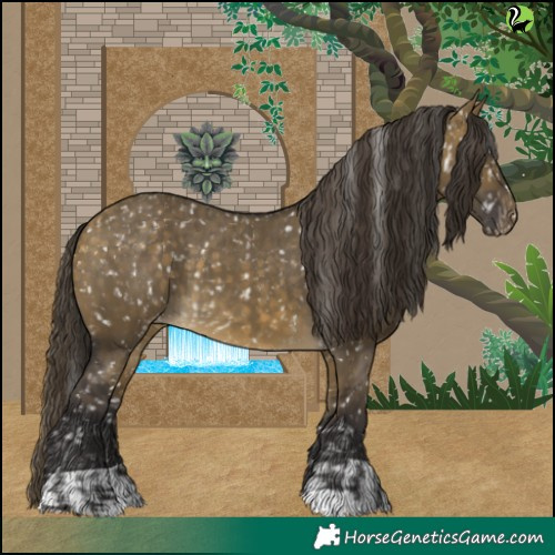 Horse Color:Buckskin Dun Appaloosa and Buckskin Dun Appaloosa