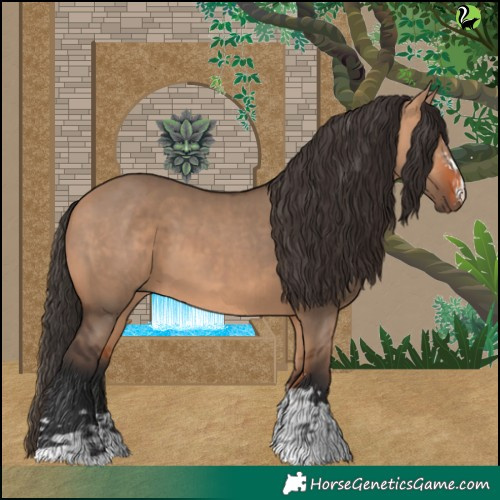 Horse Color:Bay Dun  and Bay Dun 