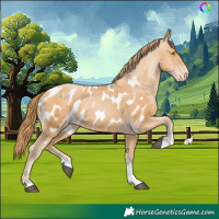 Horse Color:Chestnut Pearl Blanket 