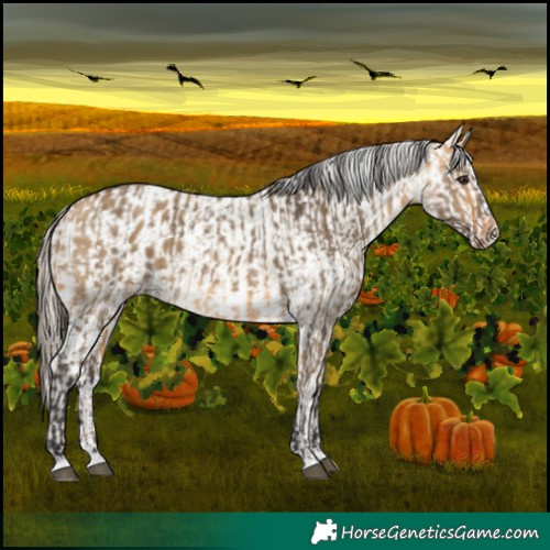 Horse Color:Buckskin Dun and Chocolate Palomino Dun Frame Blanket