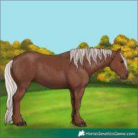 Horse Color:Silver Black 
